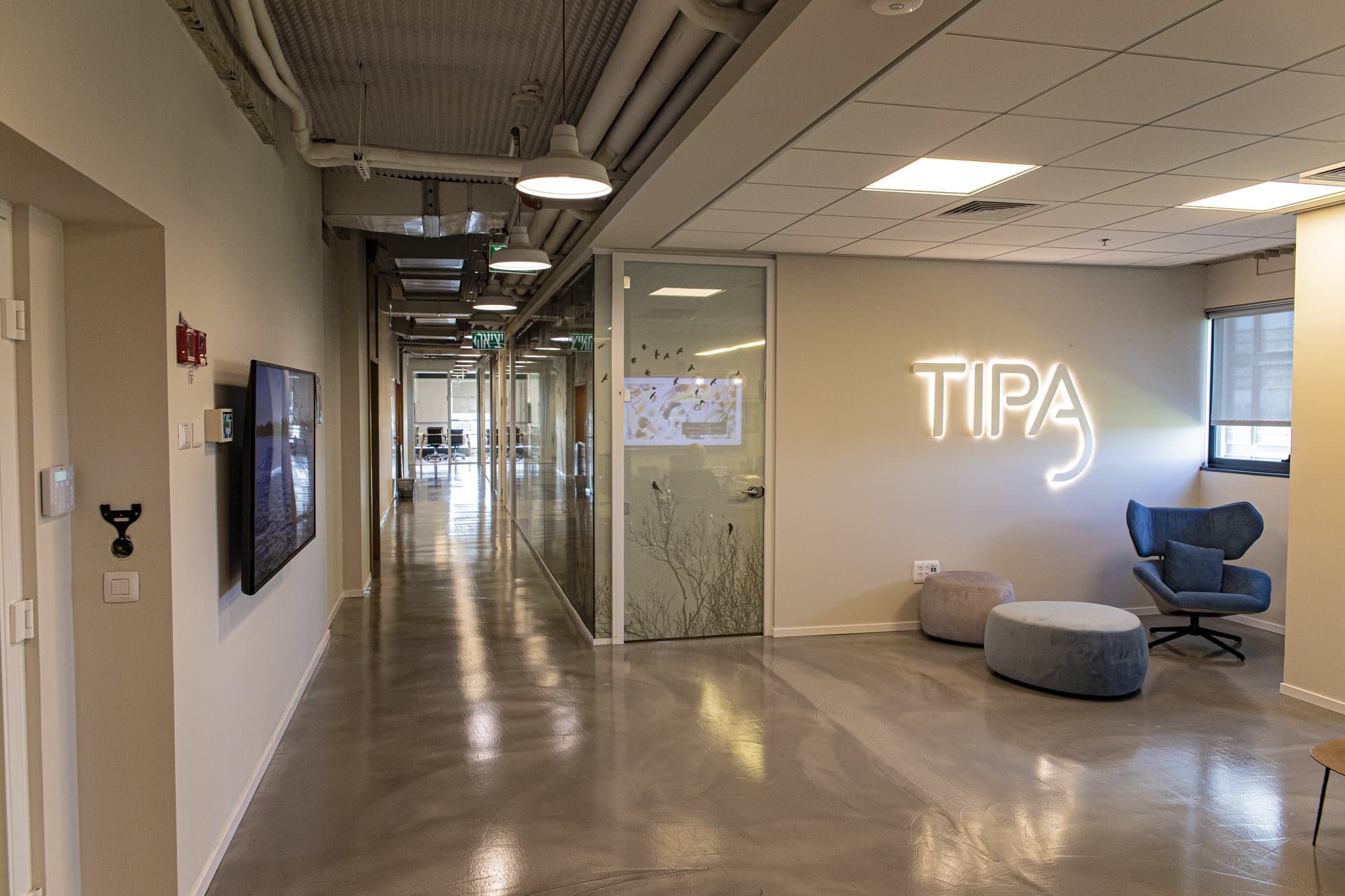Tipa